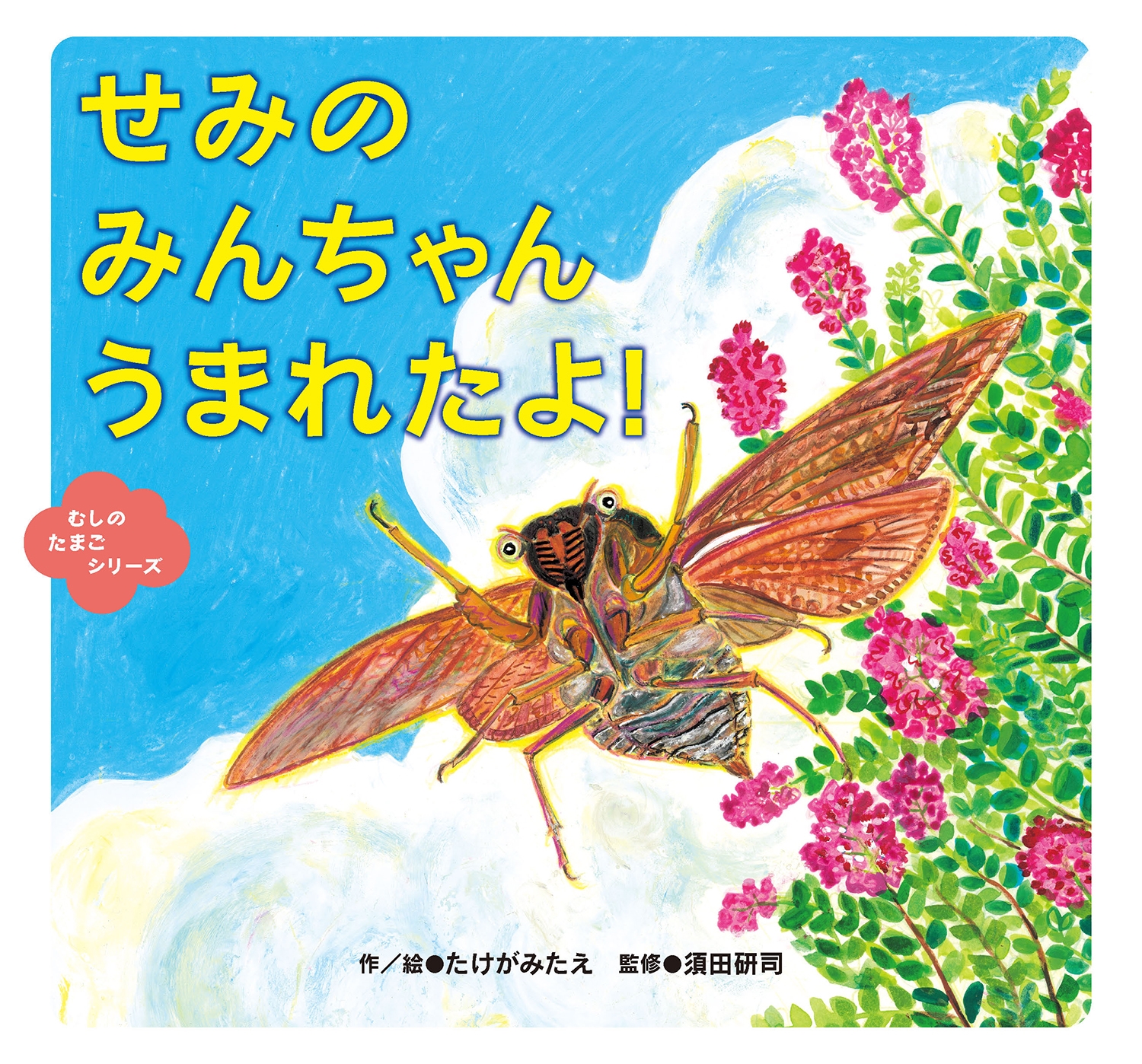 せみの みんちゃん うまれたよ! せみの みんちゃん うまれたよ!