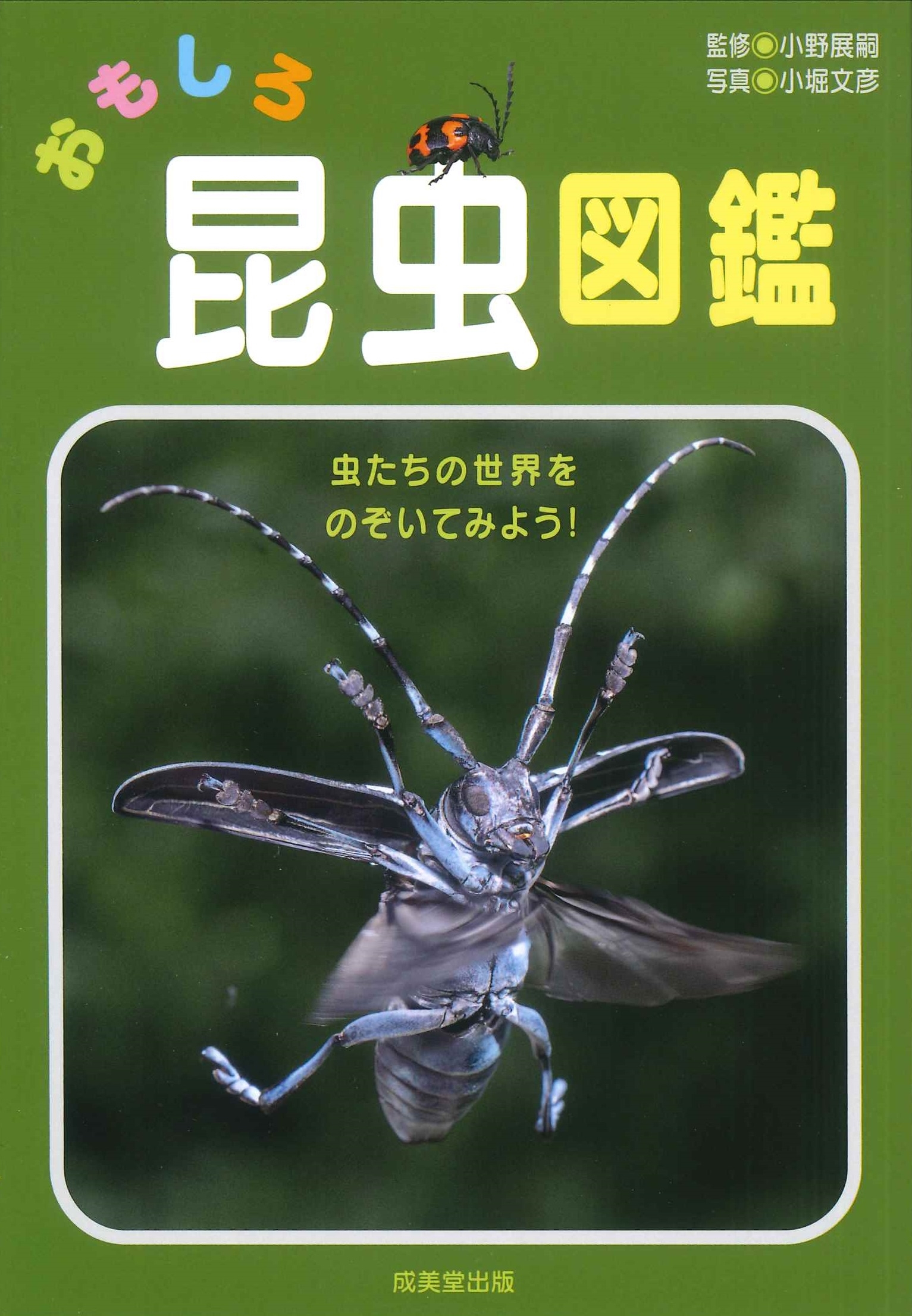 おもしろ昆虫図鑑 おもしろ昆虫図鑑