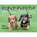 2026年カレンダー ワイド判 ミニチュア・ダックスフンド