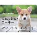 2026年カレンダー ワイド判 ウェルシュ・コーギー