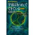 宇宙は「もつれ」でできている〈新装改訂版〉 「量子論最大の難問」はどう解き明かされたか