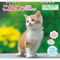 こねこカレンダー 2026