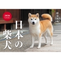 日本の柴犬カレンダー 2026
