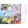 毎日猫ねこ 日めくりカレンダー 2026