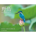 野鳥カレンダー 2026