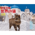 岩合光昭 世界の猫カレンダー 2026