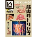 図だけでわかる! 筋肉のトリセツ