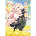 婚約破棄された可憐令嬢は、帝国の公爵騎士様に溺愛される 3 (3)