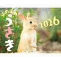 JTBのカレンダー ふわふわうさぎ 2026(壁掛け/月めくり/動物) (カレンダー2026)