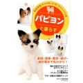 パピヨンと暮らす 愛犬の飼い方・育て方マニュアル 決定版