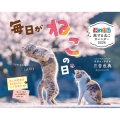 にゃっぷる旅するねこカレンダー2026卓上版「毎日がねこの日」/ねこの保護団体への寄付つき