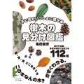 樹木の見分け図鑑 子どもといっしょに探せる