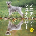 2026年カレンダー ミニチュア・シュナウザー