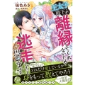 王太子殿下が離縁してくれないため逃走したく思います