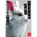 うさぎの町の殺人