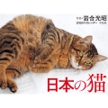 2026年カレンダー 日本の猫