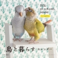 2026年カレンダー 鳥と暮らす インコ&オウム
