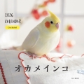2026年カレンダー オカメインコ