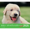 2026年カレンダー かわいいゴールデン・レトリーバー