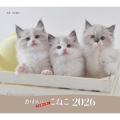 2026年カレンダー かわいいこねこ