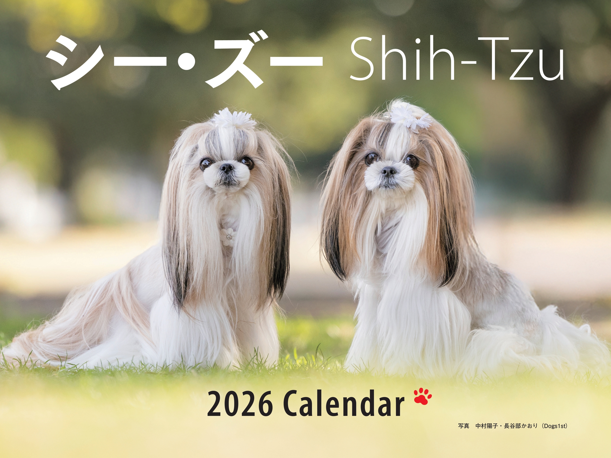 2026年カレンダー ワイド判 シー・ズー