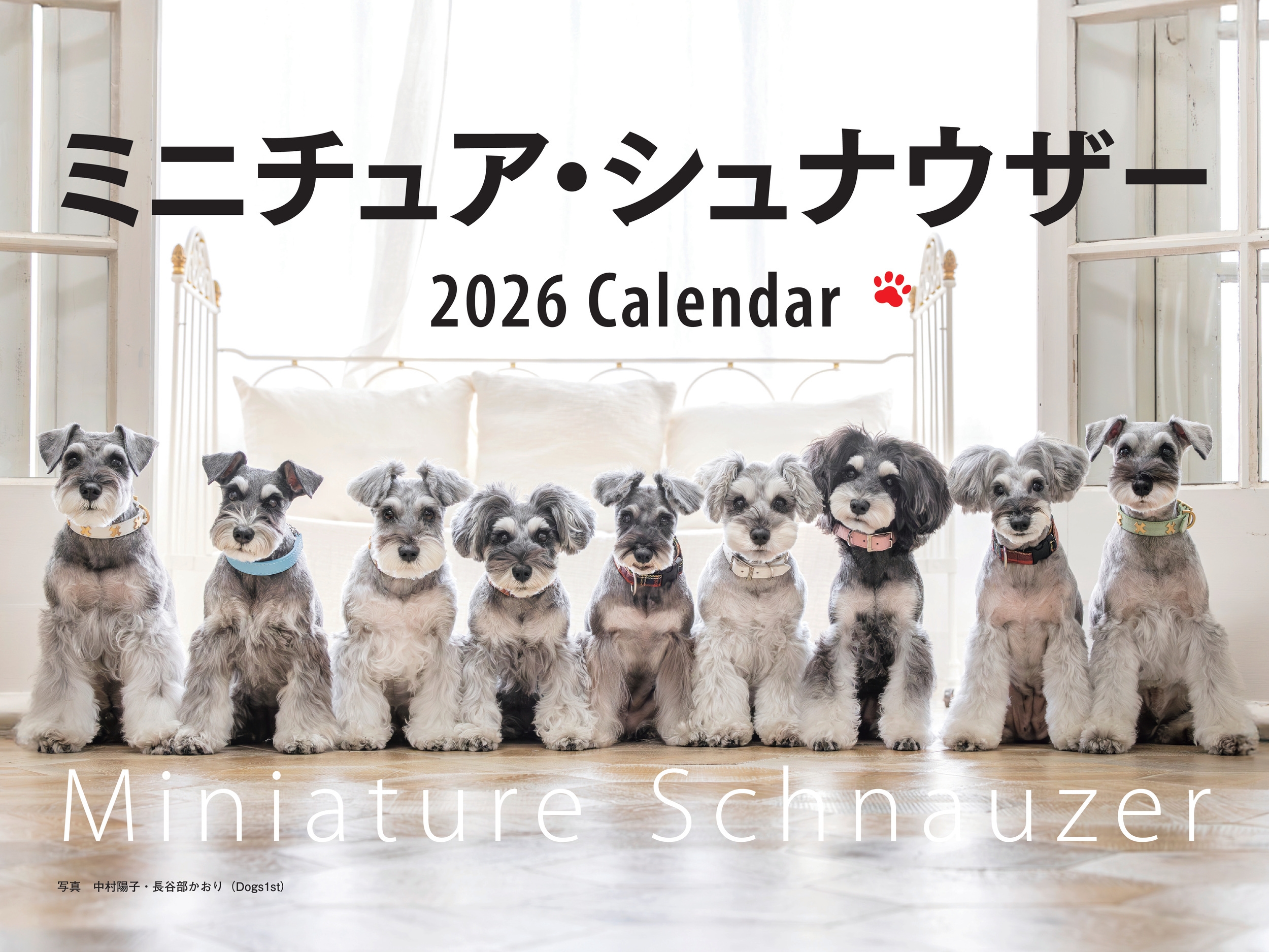2026年カレンダー ワイド判 ミニチュア・シュナウザー