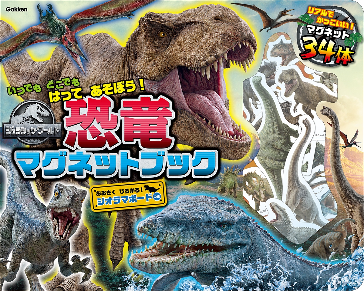 ˥С/饷å εޥͥåȥ֥å[9784057509686]