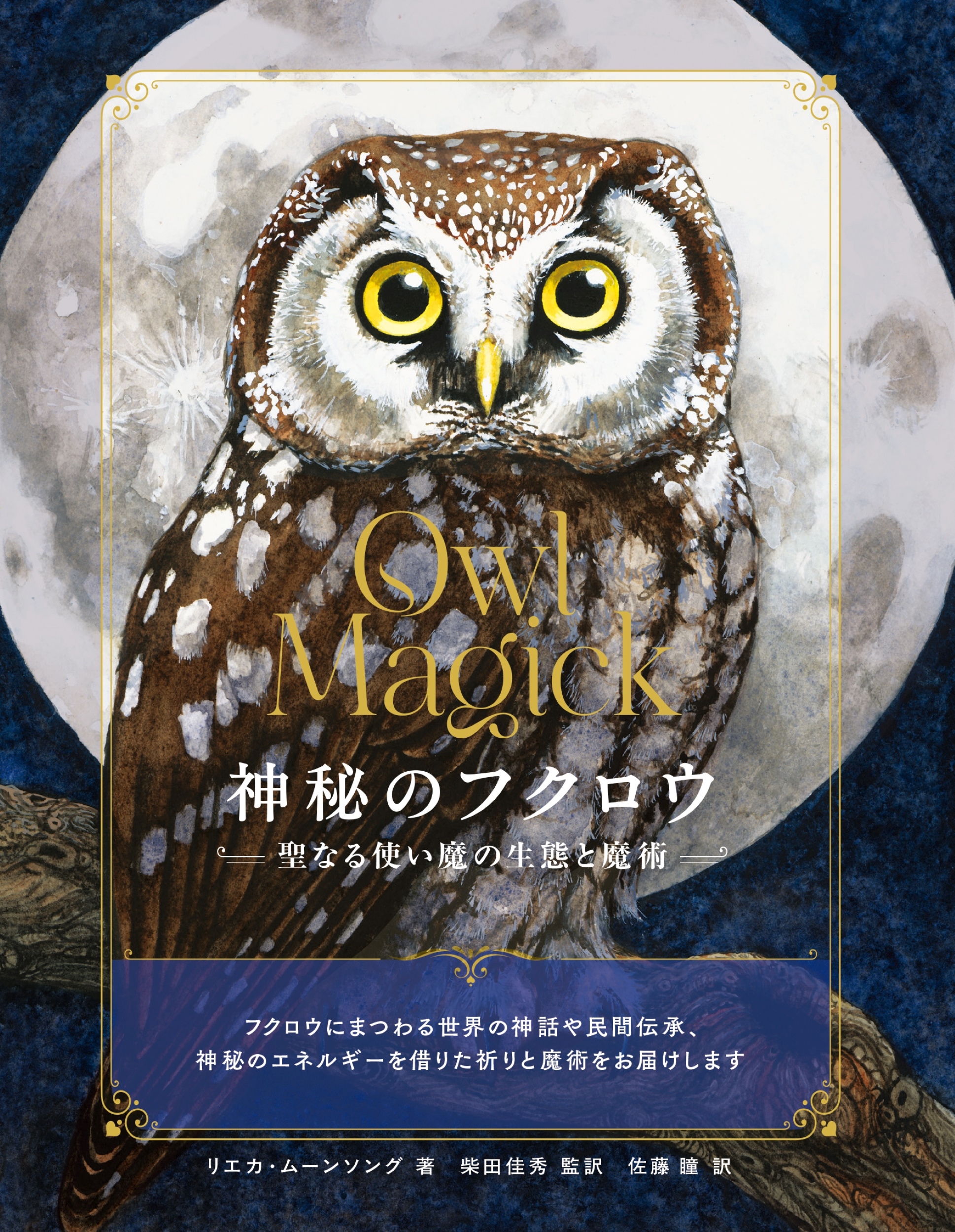 神秘のフクロウ 聖なる使い魔の生態と魔術 神秘のフクロウ 聖なる使い魔の生態と魔術