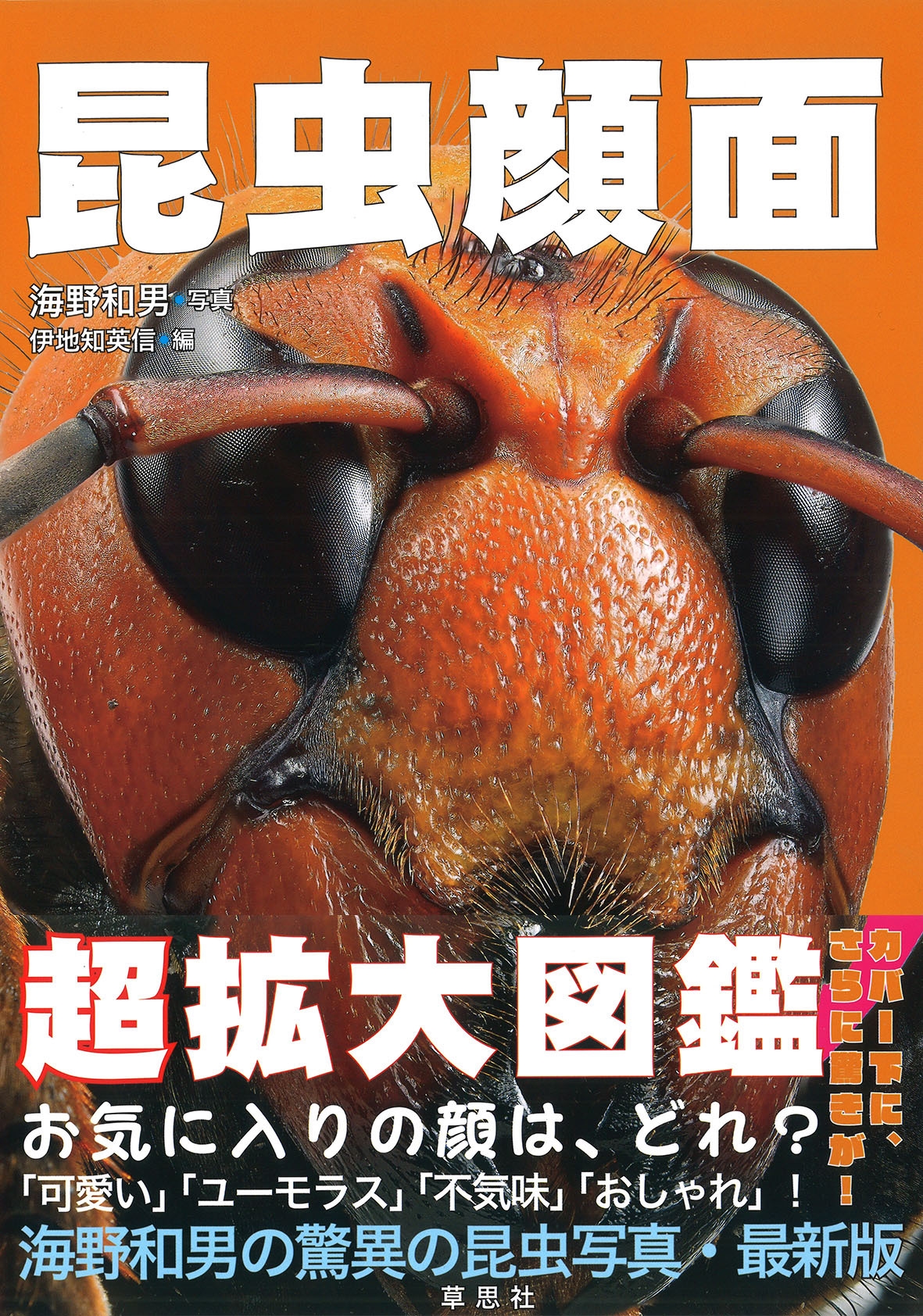 昆虫顔面 超拡大図鑑 昆虫顔面 超拡大図鑑