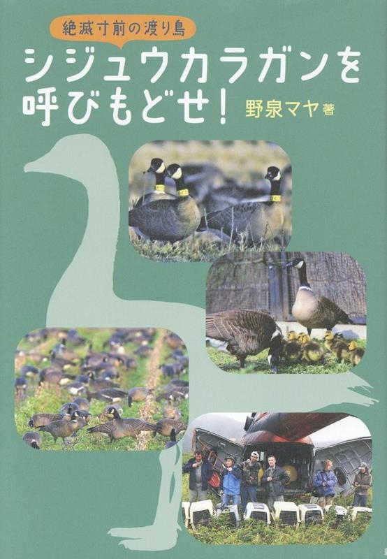 シジュウカラガンを呼びもどせ!