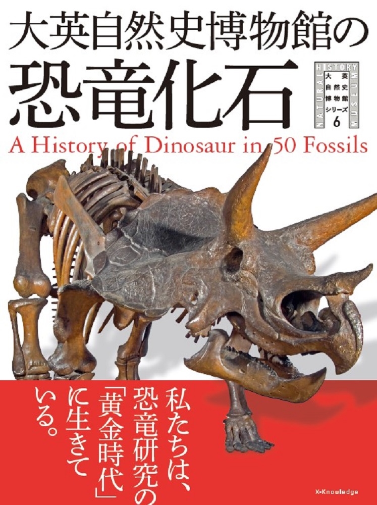 大英自然史博物館の恐竜化石