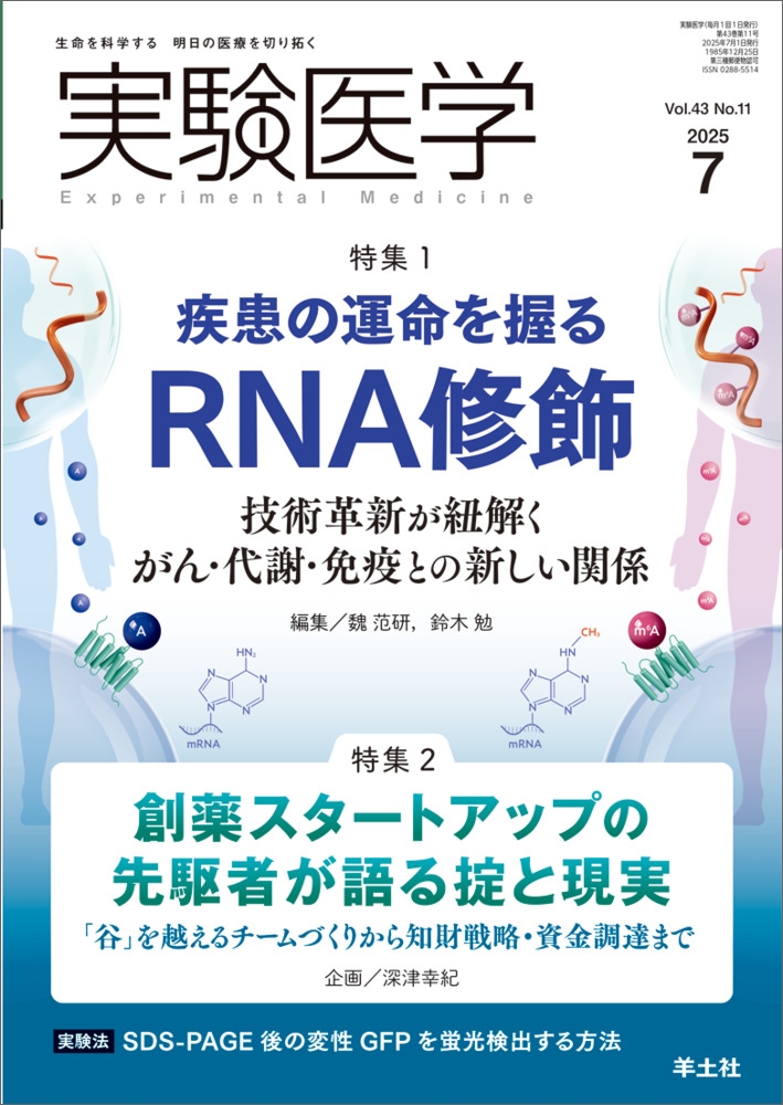 実験医学2025年7月号 実験医学2025年7月号
