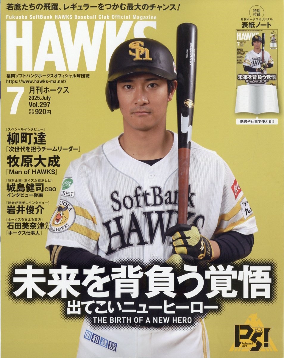  HAWKS (ۡ) 2025ǯ 07 [][08055-07]