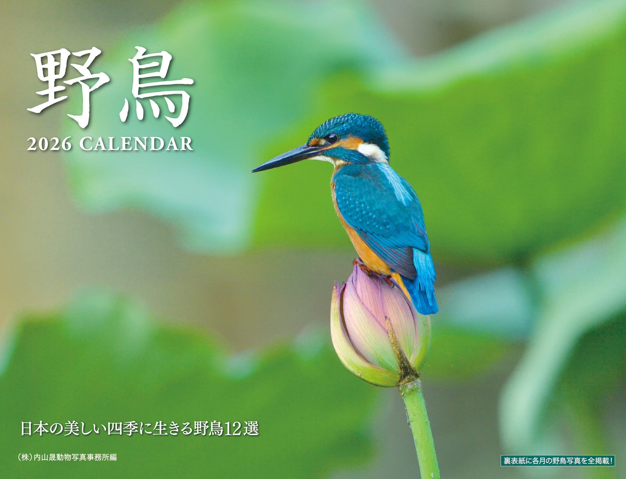 ⻳ưʪ̳̿/Ļ 2026[9784845010028]