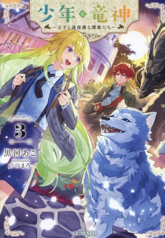 少年と竜神 ~王子と過保護な護衛たち~ 3 少年と竜神 ~王子と過保護な護衛たち~ 3