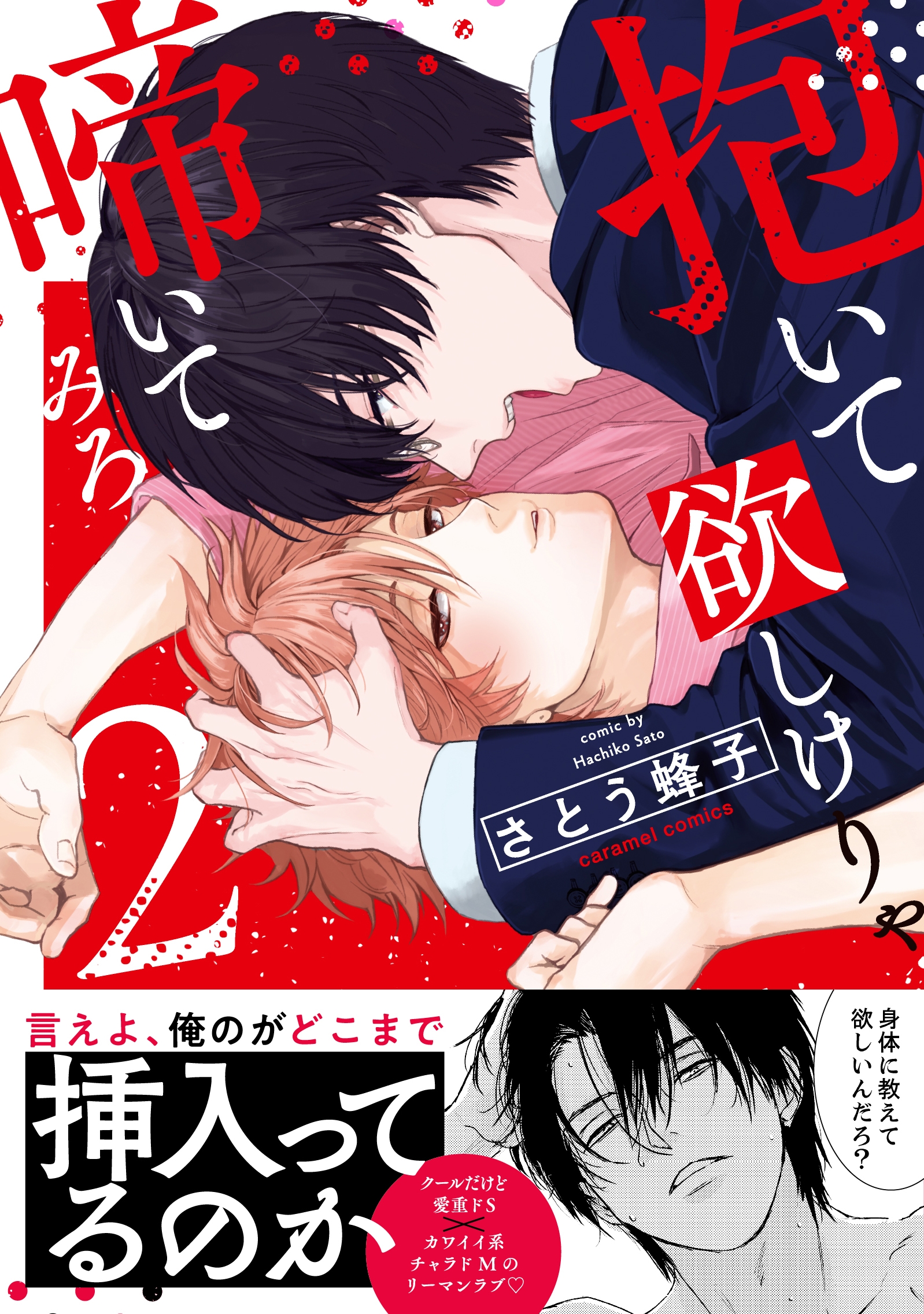 抱いて欲しけりゃ啼いてみろ2 抱いて欲しけりゃ啼いてみろ2