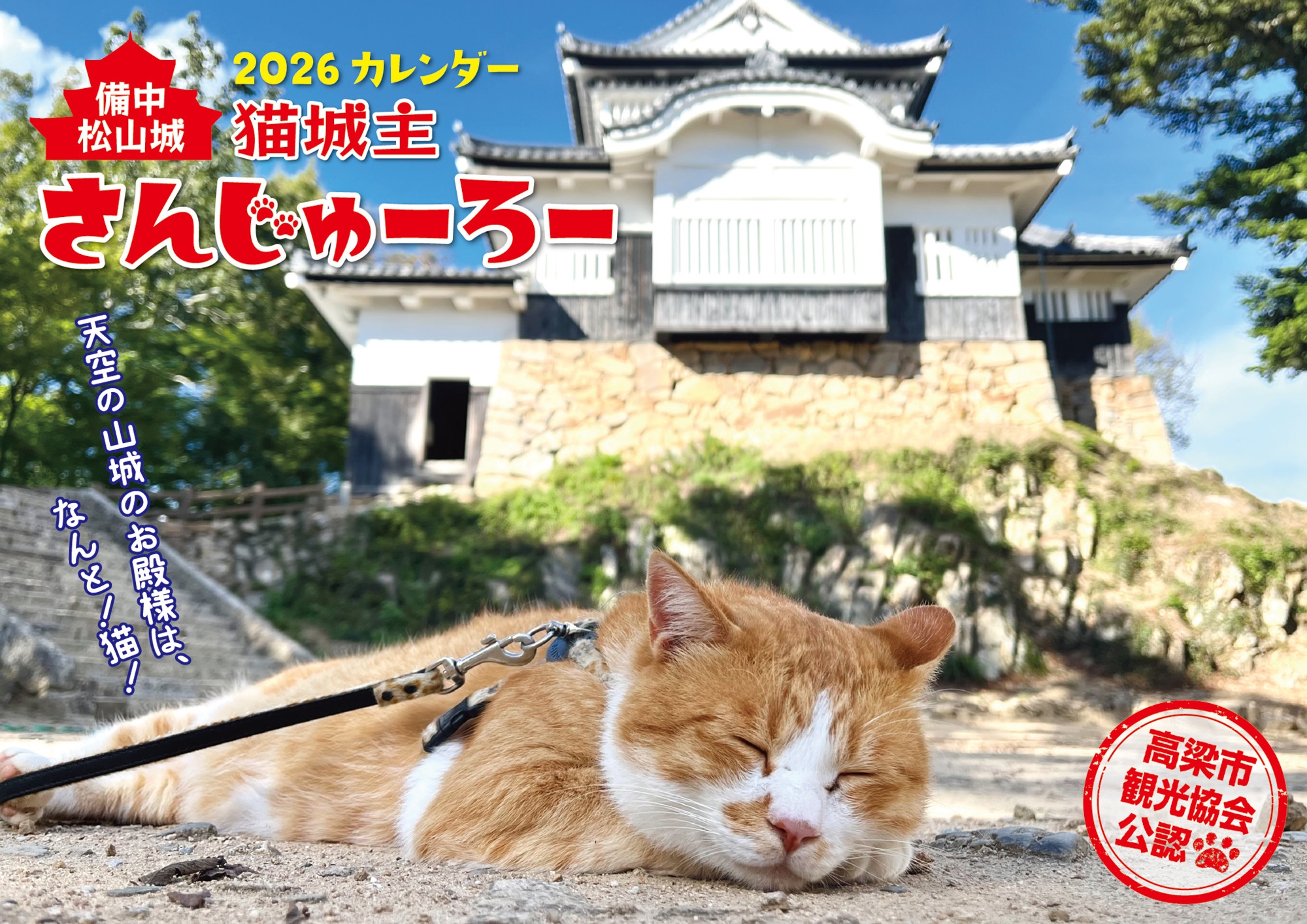 TOWER RECORDS ONLINE㤨ֹ»ԴѸ/ǭ 󤸤塼 2026 澾[9784845010097]פβǤʤ1,540ߤˤʤޤ