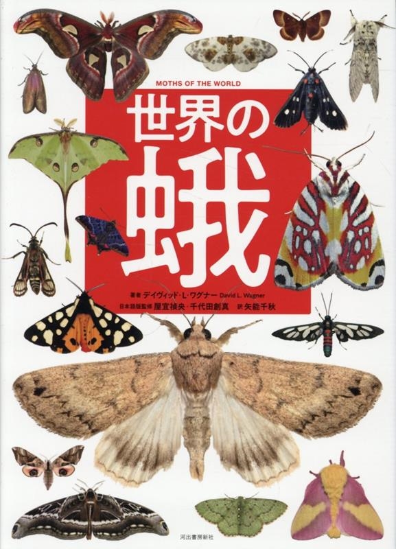 世界の蛾 世界の蛾