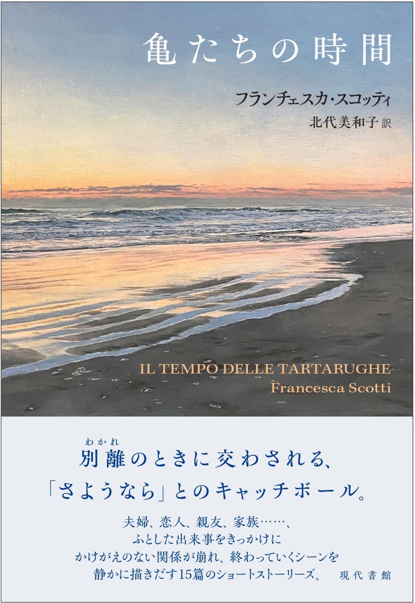 亀たちの時間 亀たちの時間