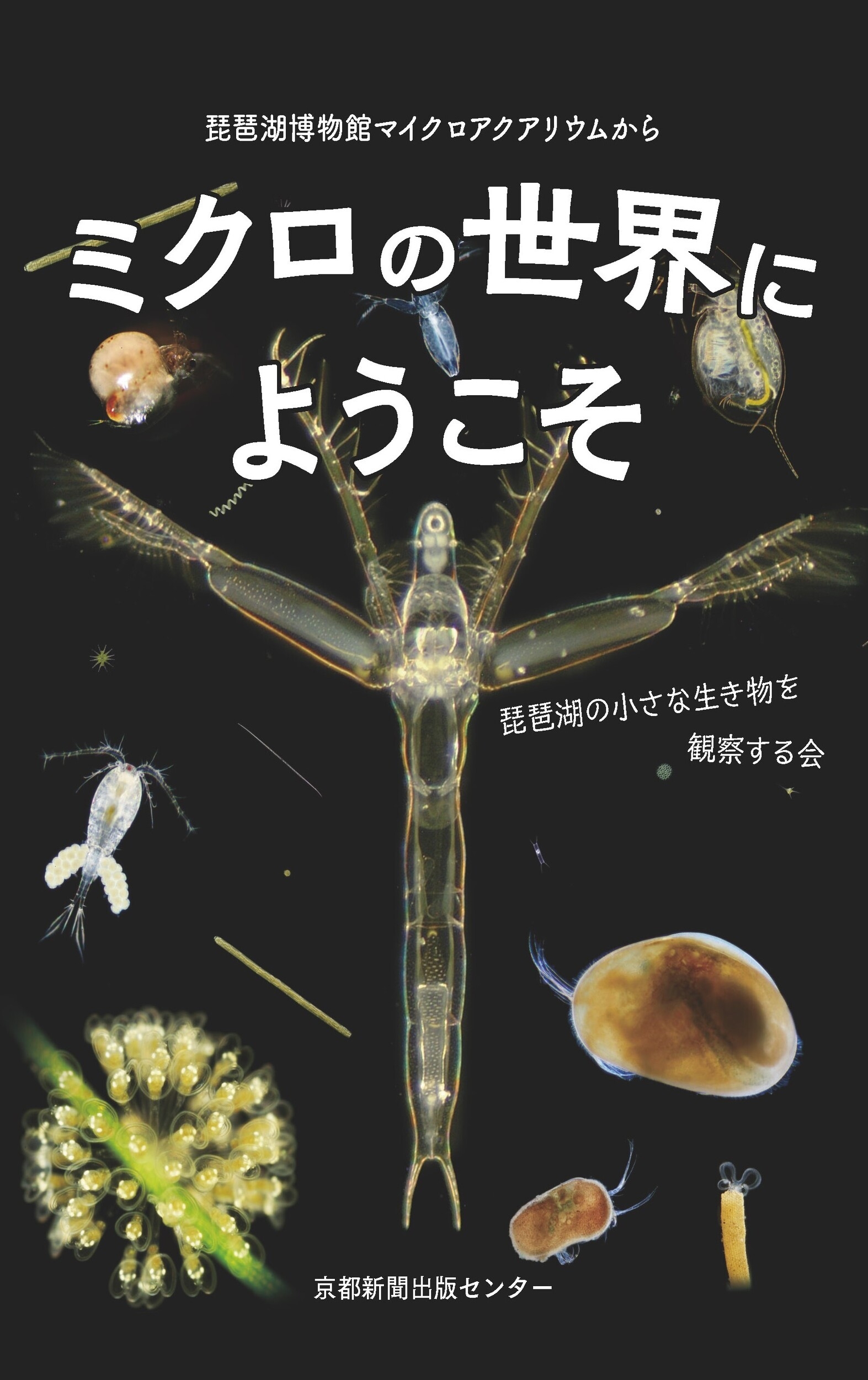 琵琶湖博物館マイクロアクアリウムから ミクロの世界にようこそ