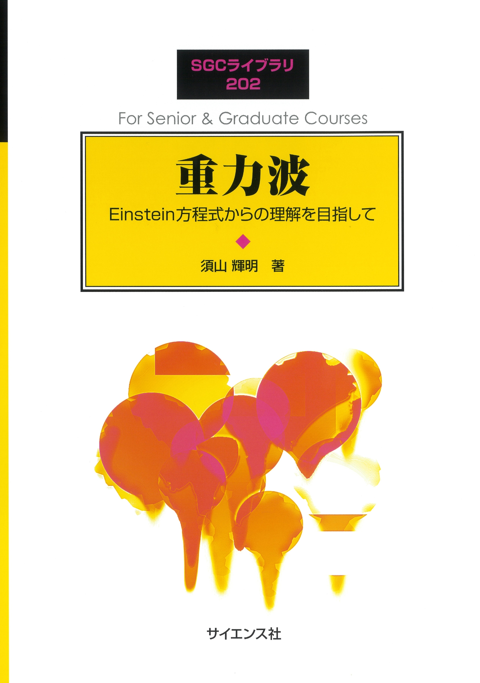 重力波 Einstein方程式からの理解を目指して