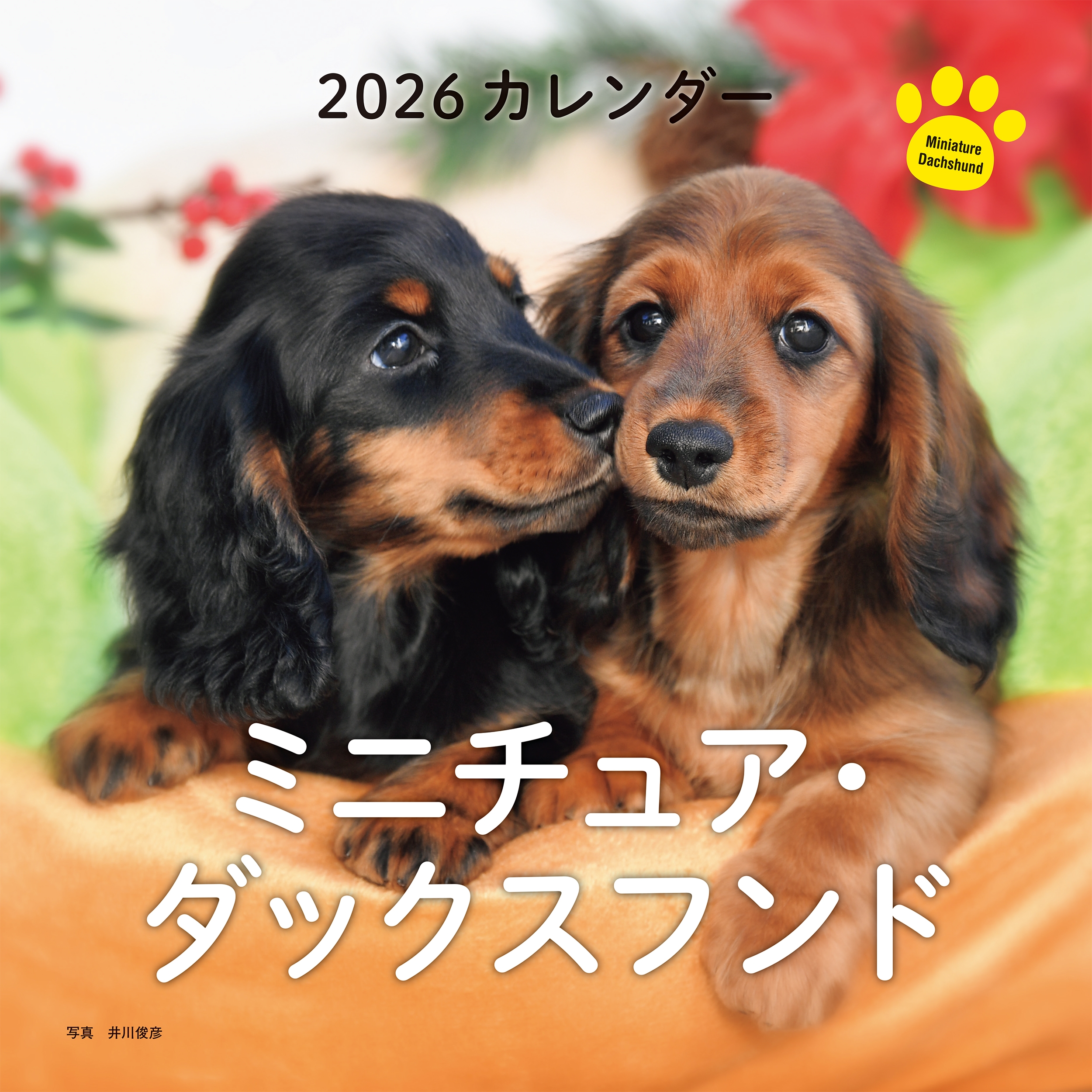 ɧ/2026ǯ ߥ˥奢åե[9784416925614]