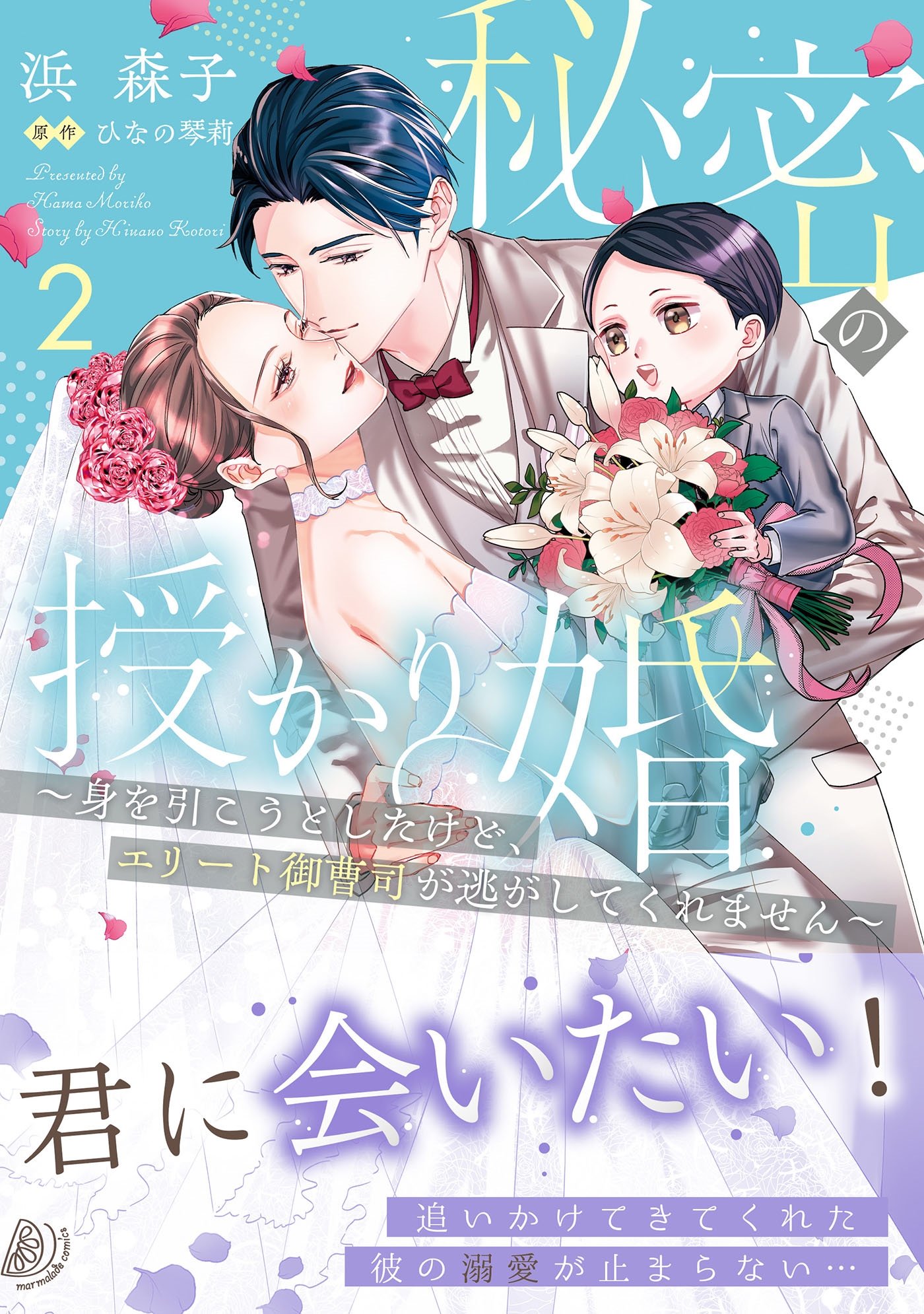 秘密の授かり婚~身を引こうとしたけど、エリート御曹司が逃がしてくれません~ 2 秘密の授かり婚~身を引こうとしたけど、エリート御曹司が逃がしてくれません~ 2