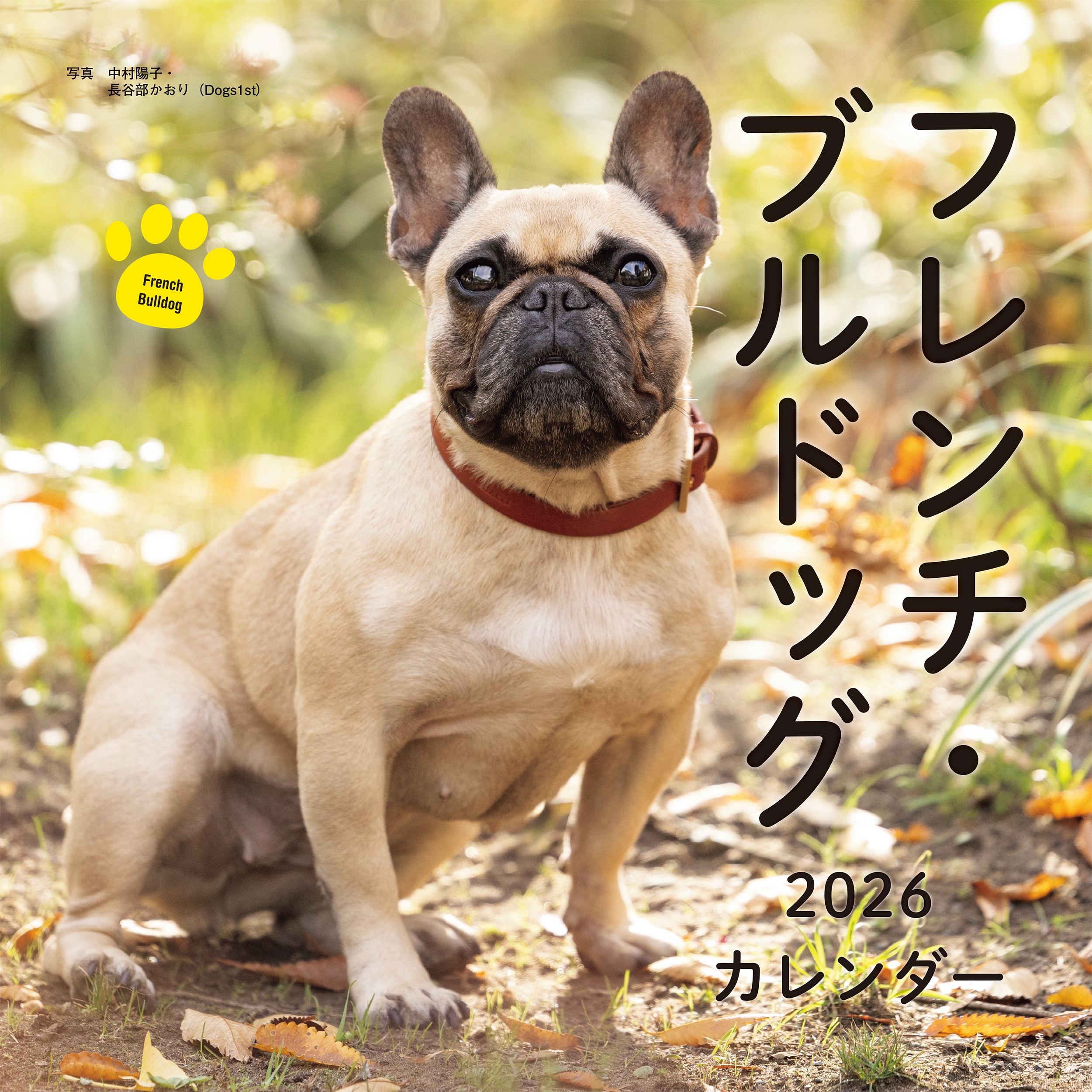 2026年カレンダー フレンチ・ブルドッグ
