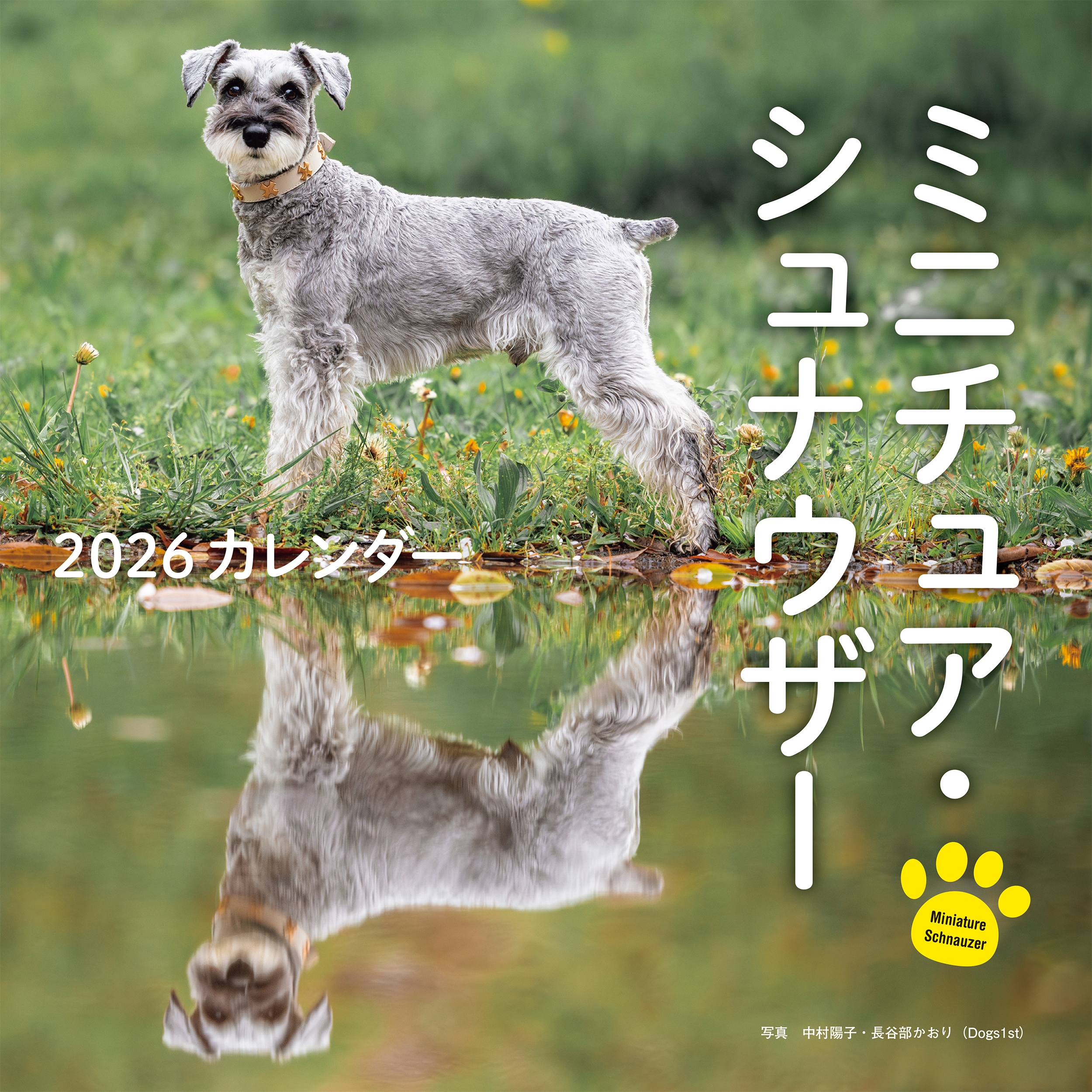 2026年カレンダー ミニチュア・シュナウザー