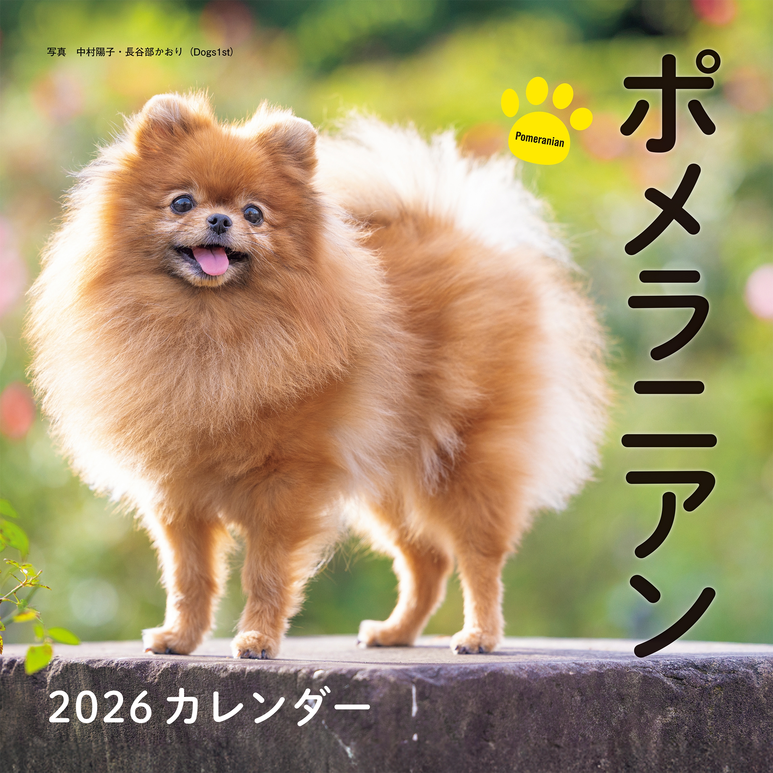 2026年カレンダー ポメラニアン