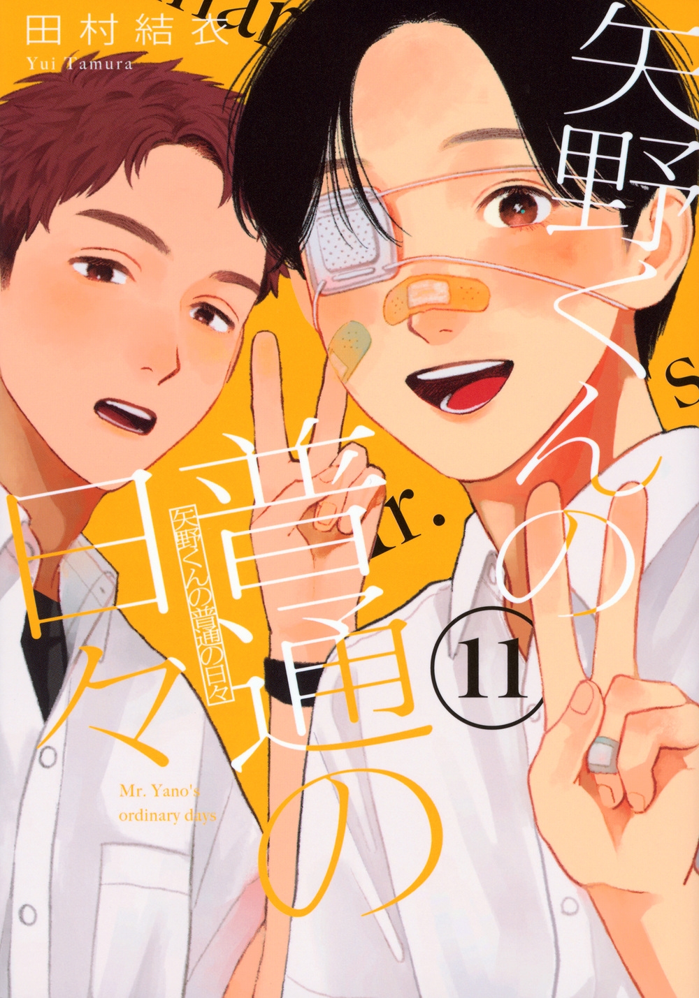 矢野くんの普通の日々(11)