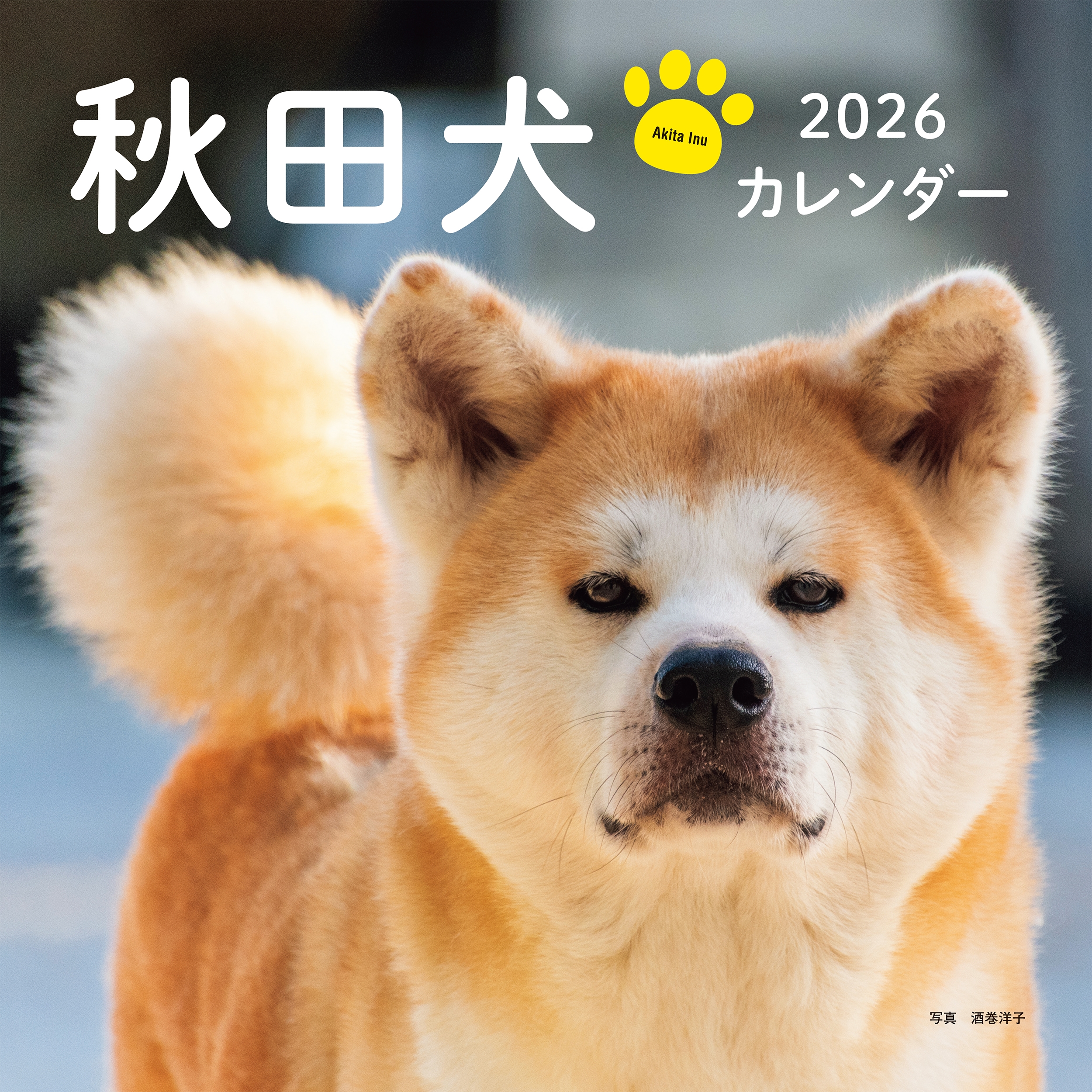 2026年カレンダー 秋田犬