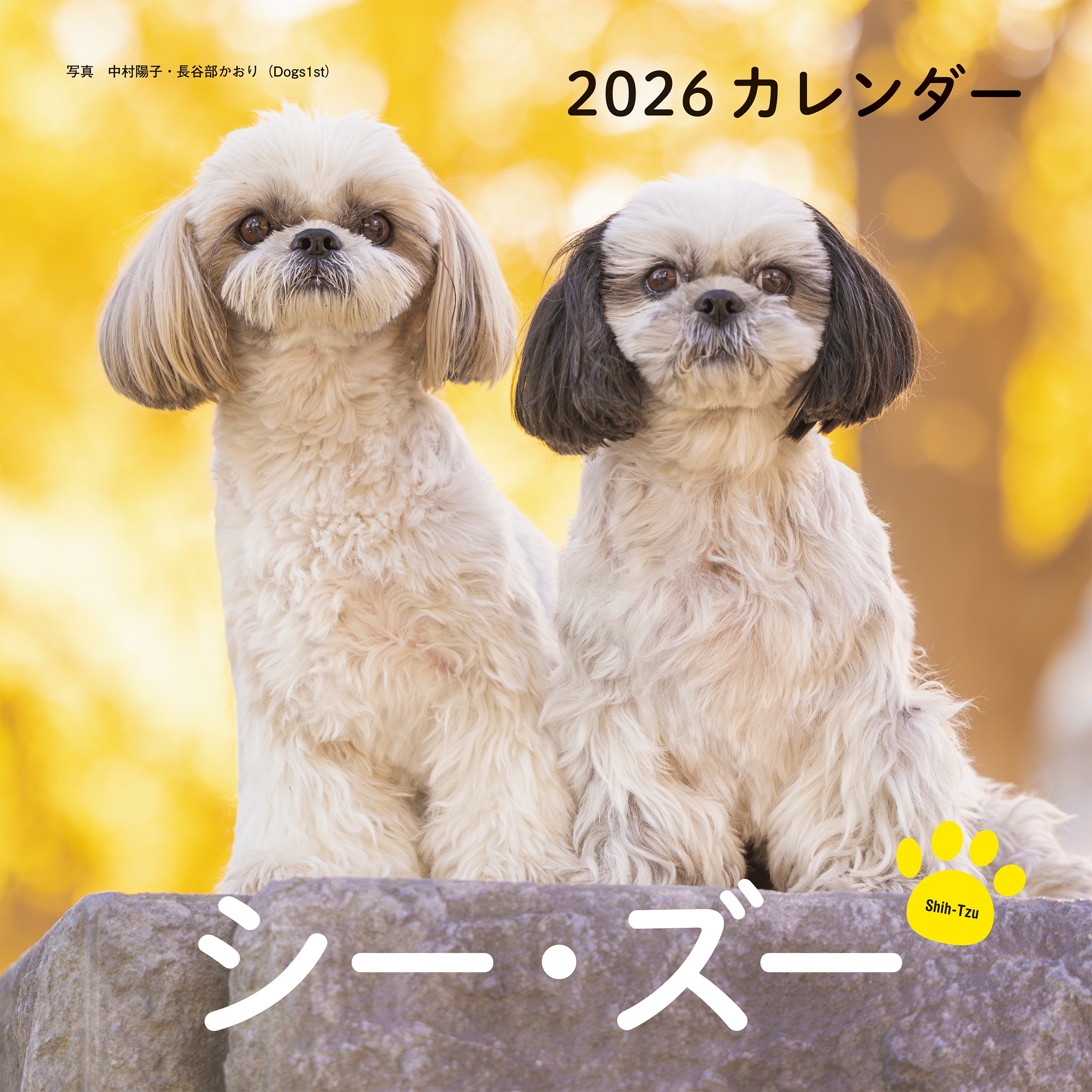 2026年カレンダー シー・ズー