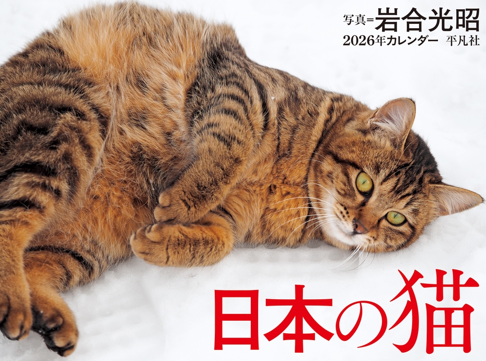 ▲01)【同梱不可】猫のみかた/Linda E Schmeltzer/Gary D Norsworth/インターズー/interzoo/2014年発行/A 投稿） △01)【同梱不可】猫のみかた/Linda E Schmeltzer/Gary D